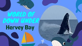 Voy Kwan - The World of Down Under - Hervey Bay