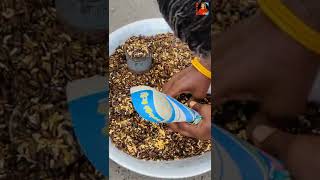 chennai la eesal fry vikkurangala | #shorts | eesal fry | tamil | fire and ice