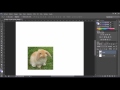 tutorial photoshop cs6 como duplicar y pegar imagenes rapido y facil