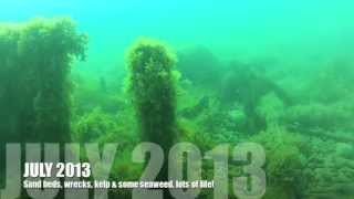 Dorset Sealife: Chesil Cove Underwater 24.07.2013 (The Easy Route)