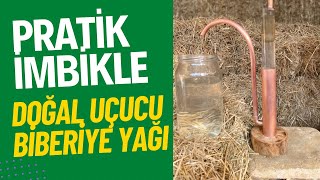 Pratik İmbikle Doğal Uçucu Biberiye Yağı Çıkarttık