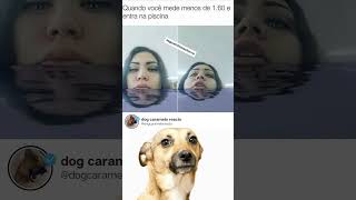 dog caramelo reacts #memes #shortsmemes