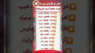 #تعلم_الانجليزية #english #viralvideo #letstalkinenglish #learnenglish #تعليم #كلمات #انجليزي