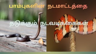 உங்கள் கோழி பண்ணையில் பாம்புகளின் நடமாட்டத்தை தடுக்கும் வழிகள்.