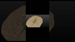 3D Lizard (Lagarto 3D)