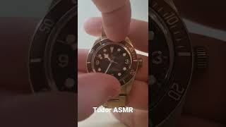 Tudor Bronze BB58 ASMR Bezel Clicks Black Bay