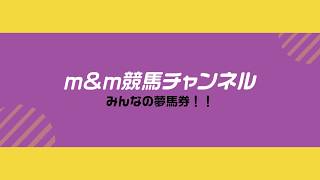 浦和競馬！3連単の検証動画のつもりが、門別競馬のトリプル馬単が大変なことになりました！！