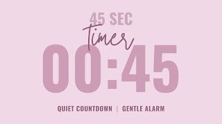 ⌛ 45 Second Quiet Countdown Timer ⏰ Gentle Alarm 💗 Aesthetic Pastel Pink