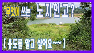 연론리 청풍호 A급 노지포인트 l 영상보고 좌표 찾는 방법 [입문자용] 공개합니다.