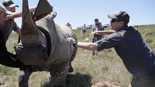 Amakhala Game Reserve - Conservation Fund