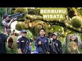 BERBURU KETIKA BUAH DURIAN HABIS DILUBANGI (berburu wisata)