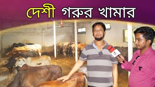 দেশী গরুর খামার।দেশী গরুতে কম খরচে বেশী লাভ।  dashi cow farmes