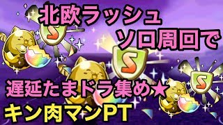 【パズドラ】超極限北欧ラッシュで遅延たまドラを集めたい♪キン肉マンPTでソロ周回！【攻略】