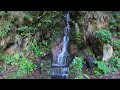 levada do risco and levada das 25 fontes hiking pr 6 in madeira