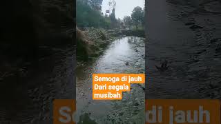 sisa banjir, rimbunan bambu dan kayu  besar yang  terhanyut