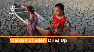 Paradise Lost: Drought ravages Iraq's ‘Garden of Eden’ | Al Jazeera Newsfeed