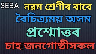 চাহ জনগোষ্ঠীসকল, বৈচিত্ৰ্যময় অসম,(অসমীয়া দ্ৰুতপাঠ), নৱম শ্ৰেণীৰ বাবে,SEBA