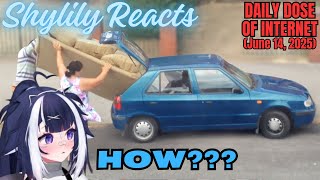 Shylily Reacts to Daily Dose of Internet: Humans Are Getting Dumber (June 14, 2025)