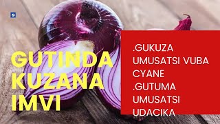 UKO WAKORA JUS YIGITUNGURU IZAGUFASHA GUKUZA UMUSATSI CYANE.