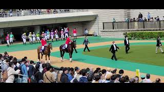 秋の東京競馬が開幕❗やっぱり『とま～れ～❗』『まええ～❗』は聞きたい