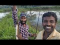 പടപ്പൻ വരാൽ അറ്റാക്ക് 369jp kerala youtube fishing rever malayalam