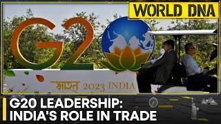 G20 Summit will confront rising food prices in global trade | World DNA