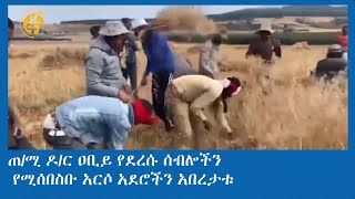 ጠ/ሚ ዶ/ር ዐቢይ የደረሱ ሰብሎችን የሚሰበስቡ አርሶ አደሮችን አበረታቱ