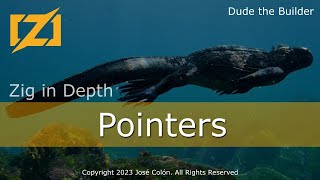 Zig in Depth: Pointers