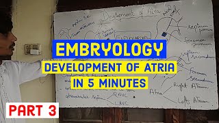 DEVELOPMENT OF ATRIA in 5 Minutes | Embryology