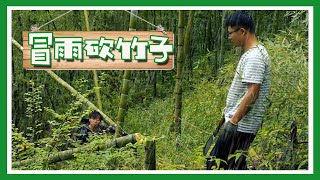 90后小伙隐居深山，砍伐竹子开阔场地，扩大房子成为2号地【柴火男孩】