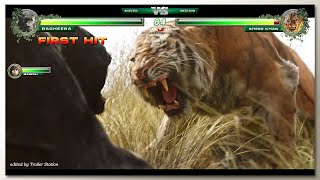 Bagheera vs Shere Khan with Healthbars