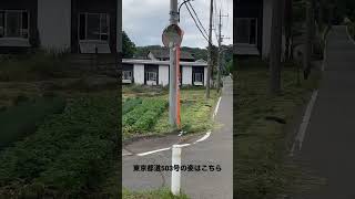 🛣東京都道503号の名無し峠区間の道路はこんな感じだった件www #道路  #shorts