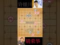 中国象棋 殘局得勝 胡荣华vs许银川 12 shorts