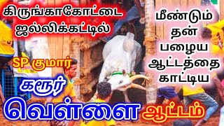 ஜல்லிக்கட்டு வரலாற்றில் கரூர் வெள்ளை யின் சிறந்த ஆட்டம்