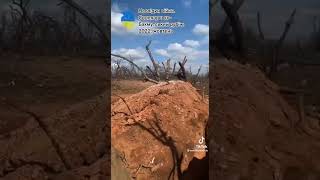 Обзор разрушений линия фронта Бахмут -Overview of the destruction on the front line near Bakhmut