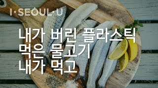 내가 버린 플라스틱 먹은 물고기🐟 내가 먹고🍴