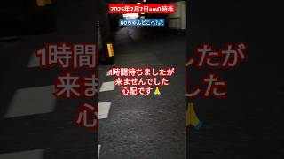 【2025年2月2日am0時半】GOちゃんがいない💦#外猫の暮らし