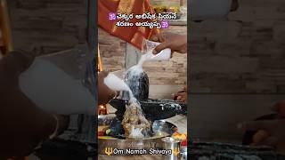 చెక్కర అభిషేక ప్రియనే శరణం అయ్యప్ప🕉️Om Namah Shivaya🔱#abhishekam#shivabhishek#ayyappa#shiv#shiva#om