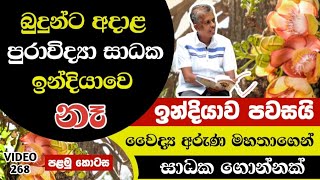 බුදුන්ට අදාළ පුරාවිද්‍යා සාධක ඉන්දියාවෙ නෑ | There are no archeological evidences | yathartha