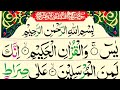 Surah Yaseen Sharif ki Tilawat | Surah Rahman | Quran Recitation Of Surah Yasin with Arabic Tex HD