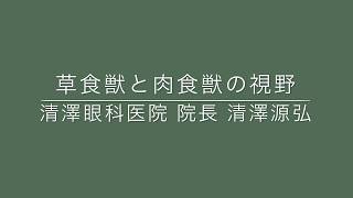 草食獣と肉食獣の視野