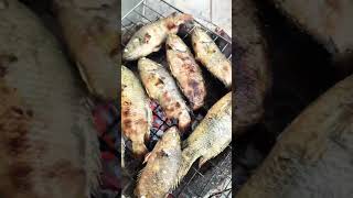 អាំងត្រីស្រែ | Fish Grill#sorts