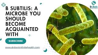 B subtilis: A microbe you should become acquainted with