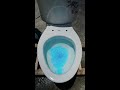 馬桶沖水模式有什麼差別【水電爸爸】toilet shorts