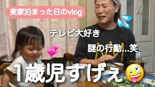 【年子育児】テレビ大好き1歳娘...謎行動が多くて爆笑🤪次女ちゃんの成長を見せに実家へ🌱