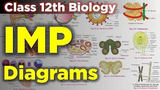 Class11th Biology Important Diagrams For New Syllabus Class 11th