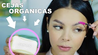 Cejas Organicas / Efecto Pelo A Pelo  (Con Jabon) - ITZEL URÍAS