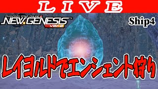 【PSO2NGS/ship4】レイヨルドでエンシェント狩り 公認クリエイター【Phantasy Star Online 2: New Genesis】