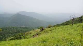 Thayyeni Panniyarmani hills