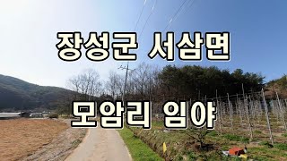 부동산경매 - 전남 장성군 서삼면 모암리 임야